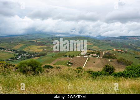 Campi agricoli della regione Trapani - Sicilia - Italia Foto Stock