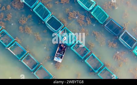 SUQIAN, CINA - 13 GENNAIO 2024 - i granchi vengono catturati dagli agricoltori e venduti al mercato in uno stagno ecologico a Suqian, nella provincia di Jiangsu della Cina orientale, Foto Stock