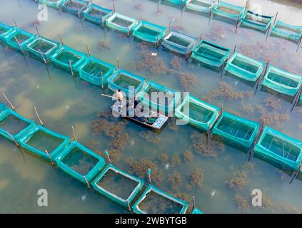 SUQIAN, CINA - 13 GENNAIO 2024 - i granchi vengono catturati dagli agricoltori e venduti al mercato in uno stagno ecologico a Suqian, nella provincia di Jiangsu della Cina orientale, Foto Stock