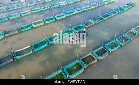 SUQIAN, CINA - 13 GENNAIO 2024 - i granchi vengono catturati dagli agricoltori e venduti al mercato in uno stagno ecologico a Suqian, nella provincia di Jiangsu della Cina orientale, Foto Stock