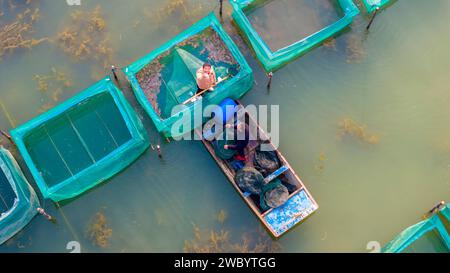 SUQIAN, CINA - 13 GENNAIO 2024 - i granchi vengono catturati dagli agricoltori e venduti al mercato in uno stagno ecologico a Suqian, nella provincia di Jiangsu della Cina orientale, Foto Stock