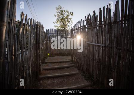 Chiang Rai, Thailandia. 9 gennaio 2024. Stretto sentiero circondato da alte recinzioni di bambù per entrare nell'avamposto militare di Chang Moob mentre il sole splende. L'avamposto militare di Chang Moob ora trasformato in un luogo di attrazione turistica, era un luogo dell'esercito reale tailandese per prevenire il traffico di droga e tenere d'occhio altre attività sospette sul lato del Myanmar (soprattutto negli anni '1990). Chiamata anche "trincee di Doi Tung", inizia con uno stretto sentiero attraverso alte recinzioni di bambù, prima di raggiungere il punto principale con profonde trincee lungo le sezioni più a nord del confine tra Thailandia e Myanmar, con una stordimento Foto Stock