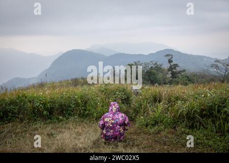 Thailandia. 9 gennaio 2024. Un abitante del posto si siede nell'erba guardando il lato del Laos la mattina presto durante l'alba alla montagna Phu chi fa al confine con il Laos. Credito: SOPA Images Limited/Alamy Live News Foto Stock