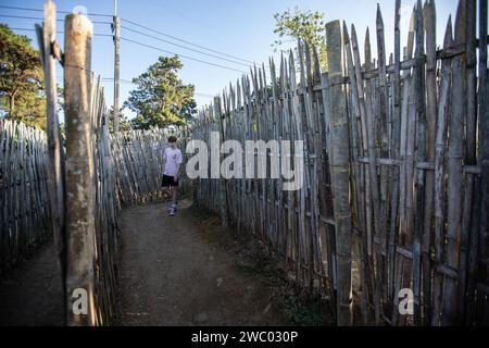 Un turista occidentale cammina attraverso lo stretto sentiero circondato da alte recinzioni di bambù per entrare nell'avamposto militare di Chang Moob. L'avamposto militare di Chang Moob ora trasformato in un luogo di attrazione turistica, era un luogo dell'esercito reale tailandese per prevenire il traffico di droga e tenere d'occhio altre attività sospette sul lato del Myanmar (soprattutto negli anni '1990). Chiamata anche "trincee di Doi Tung", inizia con uno stretto sentiero attraverso alte recinzioni di bambù prima di raggiungere il punto principale con profonde trincee lungo le sezioni più settentrionali del confine tra Thailandia e Myanmar, con una vista mozzafiato del monte Myanmar Foto Stock