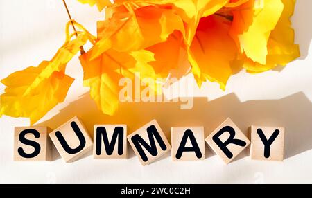 RIPRENDERE la parola scritta su un blocco di legno su sfondo bianco Foto Stock