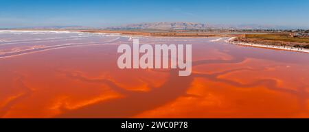 Stagni di sale rosa presso l'Alviso Marina County Park Foto Stock