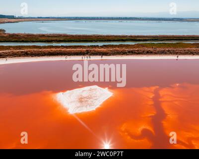 Stagni di sale rosa presso l'Alviso Marina County Park Foto Stock