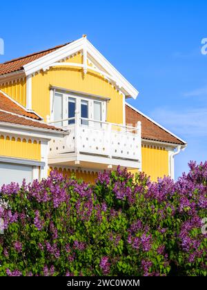 Una tipica casa svedese in legno con una facciata gialla, balcone bianco e un cespuglio decorativo con fiori viola davanti. Foto Stock
