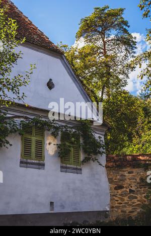 Una casa bianca sorge tra alberi verdi e arbusti Foto Stock