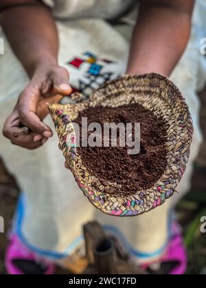 Chicchi di caffè macinati a mano presentati in un cestino di vimini e trasportati dalle mani nere delle donne etiopi Foto Stock