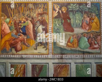 Nuovo Testamento scene affreschi alla Collegiata di Santa Maria Assunta, San Gimignano Foto Stock