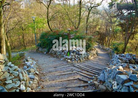 Città di Sangju, Corea del Sud - 18 novembre 2023: Scalini di legno conducono giù dall'Osservatorio Gyeongcheondae, dove il percorso escursionistico si divide in due direzioni Foto Stock