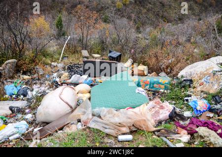 Discarica selvaggia nella natura. Aprire la discarica. Mucchio di spazzatura. Dumping illegale. Inquinamento ambientale. Rifiuti nell'area di discarica. Frattaglie animali Foto Stock