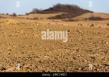 terreni agricoli su terreno collinare, terreno arato marrone Foto Stock