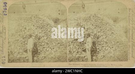 Berg Van Beenderen, Cimitero di Cristoforo Colombo, l'Avana, Anonimo, Strohmeyer & Wyman, 1899 stereografo Cementerio de Cristóbal Colónpublisher: New York (City)Editore: New York (City) (possibilmente) cartone. necropoli stampata da albumi di carta. Ossa in generale (corpo umano) Cristóbal Colón cimitero Foto Stock