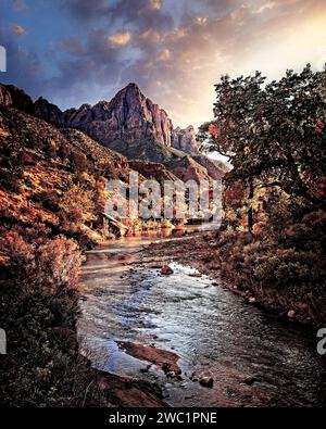 Autunno a colori lungo la forcella del nord del fiume vergine guardando verso la sentinella nel Parco Nazionale di Zion, Utah Foto Stock