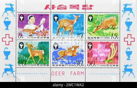 Foglio souvenir con francobolli cancellati stampati dalla Corea del Nord, che mostrano Sika Deer (Cervus nippon), circa 1979. Foto Stock