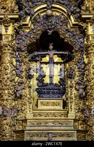 Catedral de la Asunción de la Virgen, Salamanca, comunidad autónoma de Castilla y León, Spagna Foto Stock