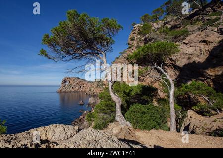SA Foradada término Municipal de Deyá, Mallorca, Isole baleari, Spagna Foto Stock