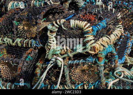 Primo piano di vasi di aragosta con corda colorata Foto Stock