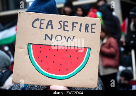 13 gennaio 2024. Centinaia di migliaia di manifestanti si riuniscono alla Bank nella City di Londra come parte di una manifestazione globale a sostegno di Palest Foto Stock