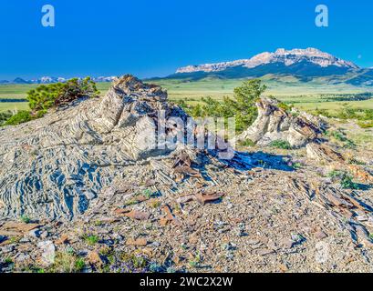 Affioramenti di roccia nella prateria vicino a dente di sega di crinale lungo il Rocky Mountain Front vicino choteau, montana Foto Stock