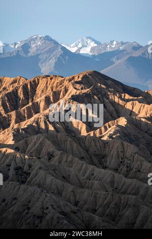 Canyon, montagne del Tian Shan sullo sfondo, colline erose, calanchi, Valle dei fiumi dimenticati, vicino a Bokonbayevo, Yssykkoel, Kirghizistan Foto Stock