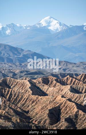 Canyon nel paesaggio desertico, montagne del Tian Shan sullo sfondo, paesaggio collinare eroso, calanchi, Valle dei fiumi dimenticati, vicino Foto Stock