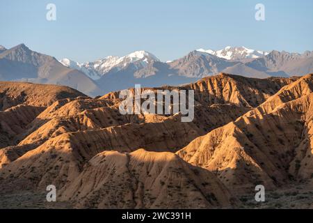 Alba su canyon, montagne di Tian Shan sullo sfondo, paesaggio collinare eroso, calanchi, Valle dei fiumi dimenticati, vicino a Bokonbayevo Foto Stock