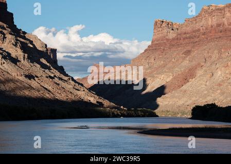 Fiume Colorado a Spanish Bottom, Canyonlands National Park, Utah. Foto Stock