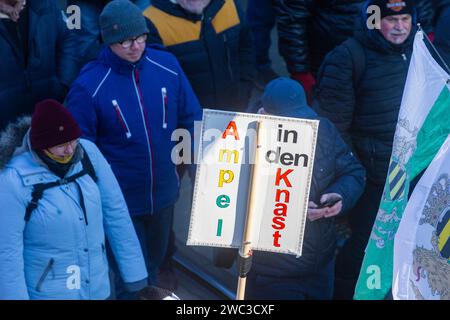 Migliaia di persone manifestano sulla Schlossplatz a Dresda e poi marciano attraverso il centro della città. Si possono vedere le bandiere dell'ex Regno di Sassonia Foto Stock