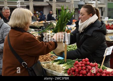 Zagabria, Croazia : 01,05,2024 : mercato vegetale chiamato Dolac nel centro di Zagabria, la capitale della Croazia. Foto Stock