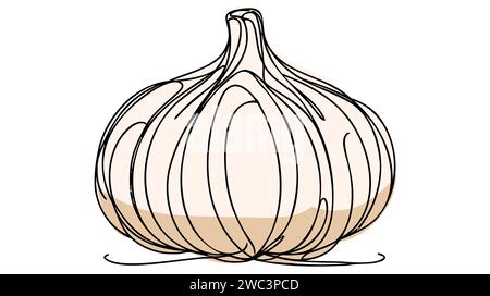 Aglio in stile disegno a linee continue. Schizzo lineare minimalista nero a bulbo d'aglio isolato su sfondo bianco. Illustrazione Vettoriale