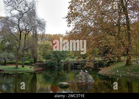 L'autunno riempie il parco Castrelos di Vigo di colori rossastri, ocra e giallo nel suo stagno Foto Stock