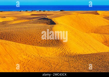 Dune di sabbia a Maspalomas Gran Canaria , Isole Canarie, Spagna . Creste battute dal vento e valli di sabbia formano una scena accattivante Foto Stock