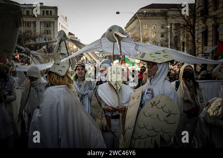 Arlington, Virginia, USA. 13 gennaio 2024. Migliaia di manifestanti pro-Palestina hanno riempito le strade di Washington, Distretto di Columbia, il 13 gennaio 2024, per esortare gli Stati Uniti a smettere di sostenere la campagna militare israeliana a Gaza. La marcia, che è stata la seconda del suo genere dall'inizio dell'offensiva israeliana nell'ottobre 2023, è stata organizzata da una coalizione di gruppi musulmani e anti-guerra. Gli organizzatori hanno sostenuto che più di 300.000 persone provenienti da stati e contesti diversi hanno partecipato al raduno, chiedendo il rilascio di tutti gli ostaggi a Gaza e dei prigionieri politici in Israele, e Foto Stock