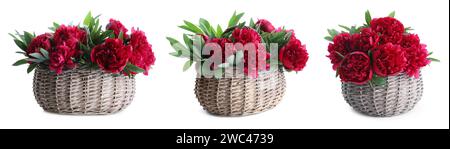 Bellissime peonie rosse con foglie verdi in cesti di vimini isolati su bianco, collezione Foto Stock