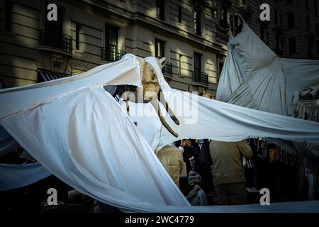 Arlington, Virginia, USA. 13 gennaio 2024. Migliaia di manifestanti pro-Palestina hanno riempito le strade di Washington, Distretto di Columbia, il 13 gennaio 2024, per esortare gli Stati Uniti a smettere di sostenere la campagna militare israeliana a Gaza. La marcia, che è stata la seconda del suo genere dall'inizio dell'offensiva israeliana nell'ottobre 2023, è stata organizzata da una coalizione di gruppi musulmani e anti-guerra. Gli organizzatori hanno sostenuto che più di 300.000 persone provenienti da stati e contesti diversi hanno partecipato al raduno, chiedendo il rilascio di tutti gli ostaggi a Gaza e dei prigionieri politici in Israele, e Foto Stock