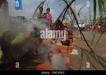 Chennai, India. 14 gennaio 2024. In occasione del festival Pongal, tutte le donne celebrano con uguaglianza il Pongal mettendo Pongal al festival Samatwa Pongal che si tiene nel mercato di Koyambedu, Chennai. Pongal, noto anche come Thai Pongal, è un festival del raccolto di più giorni celebrato dai Tamil in tutto il mondo. Si osserva nel mese della Thailandia secondo il calendario solare tamil e di solito cade il 14 o 15 gennaio. È dedicato al Dio della luce Surya, noto anche come Dio del Sole e corrisponde a Makar Sankranti, la festa del raccolto. Crediti: Seshadri SUKUMAR/Alamy Live News Foto Stock