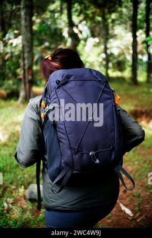 Vista posteriore della donna con zaino nero nella foresta Foto Stock