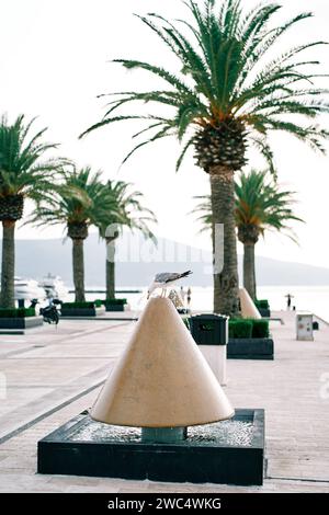 Il gabbiano siede su un dissuasore a cono su un molo vicino alle palme verdi Foto Stock