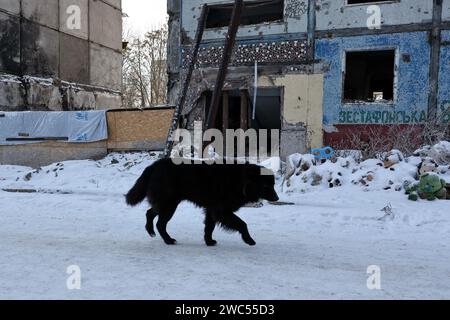 Zaporizhzhia, Ucraina. 13 gennaio 2024. Un cane randagio rimane sulla strada vicino all'edificio dell'appartamento che è stato pesantemente danneggiato dai bombardamenti russi a Zaporizhzhia. Il presidente ucraino Volodymyr Zelenskiy ha detto di essere più positivo ora che lo era il mese scorso che il suo paese avrebbe ottenuto nuovi aiuti finanziari dagli Stati Uniti. Ma non c'era alcuna indicazione a Washington che l'approvazione del Congresso per un pacchetto di aiuti proposto dalla Casa Bianca sarebbe stata imminente in qualsiasi momento presto. Credito: SOPA Images Limited/Alamy Live News Foto Stock