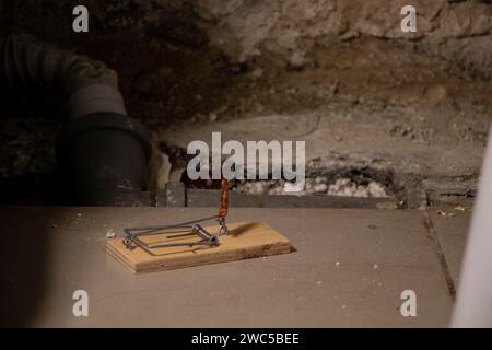 Un mousetrap con un pezzo di salsiccia si trova sul pavimento del bagno in una vecchia casa povera e sporca, un mousetrap Foto Stock