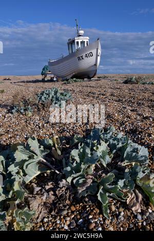 barca da pesca costiera attraccata sulla spiaggia di ciottoli a dungeness nel kent in inghilterra Foto Stock