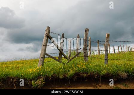 Recinzione nella natura. Recinzione metallica ruggine. Foto Stock