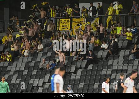 14 gennaio 2024; CommBank Stadium, Sydney, NSW, Australia: A-League Football, Perth Glory contro Wellington Phoenix; i tifosi di Wellington celebrano il loro team leader nel 4-3 Foto Stock