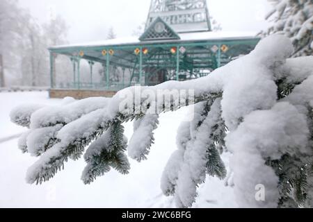 14 gennaio 2024, Sassonia-Anhalt, Südharz: Il paesaggio di Joseph's Cross è coperto di fosforo la domenica. La Joseph's Cross sull'Auerberg, nelle montagne Harz meridionali vicino a Stolberg, è anche una destinazione popolare in inverno. La costruzione in ferro alta 38 metri, eretta nel 1896 secondo i piani di Friedrich Wilhelm Schinkel, è considerata la più grande doppia croce del mondo. Foto: Matthias Bein/dpa Foto Stock