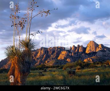 Il lato ovest delle Dragoon Mountains nell'Arizona meridionale. Foto Stock