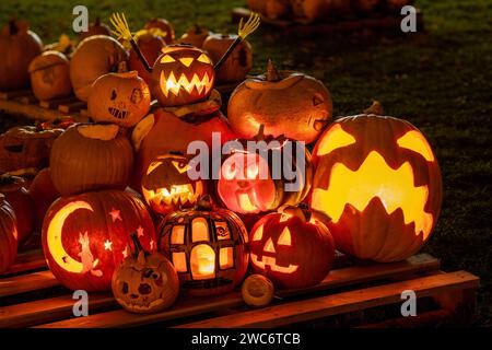 Un mucchio di zucche che bruciano in giardino di notte - sfondo di Halloween. Foto Stock