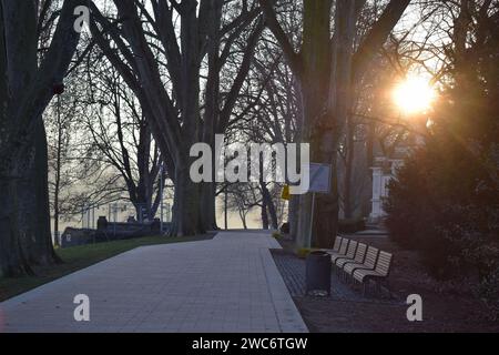sole basso tra gli alberi del parco Foto Stock